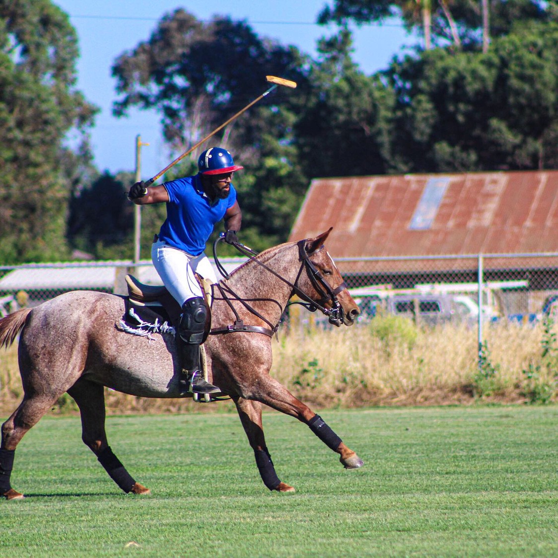 Learn to play polo best sale near me